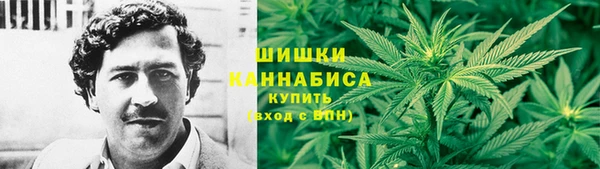ECSTASY Бородино