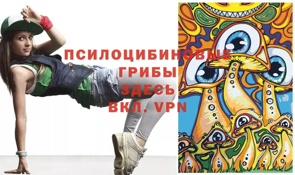 ECSTASY Бородино