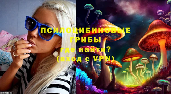 дурь Бугульма
