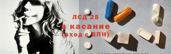 ECSTASY Бородино