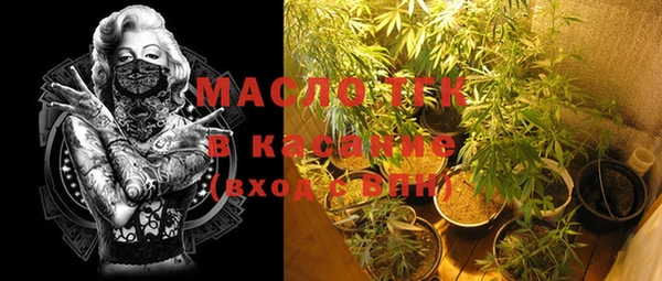 ECSTASY Бородино