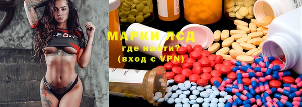 ECSTASY Бородино