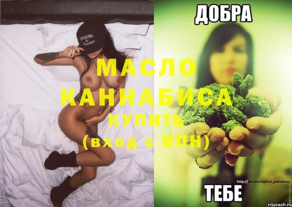 ECSTASY Бородино