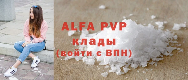 ECSTASY Бородино