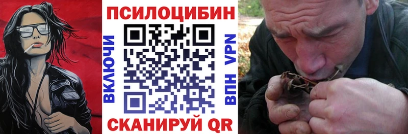 даркнет сайт  Ветлуга  Галлюциногенные грибы Psilocybine cubensis 